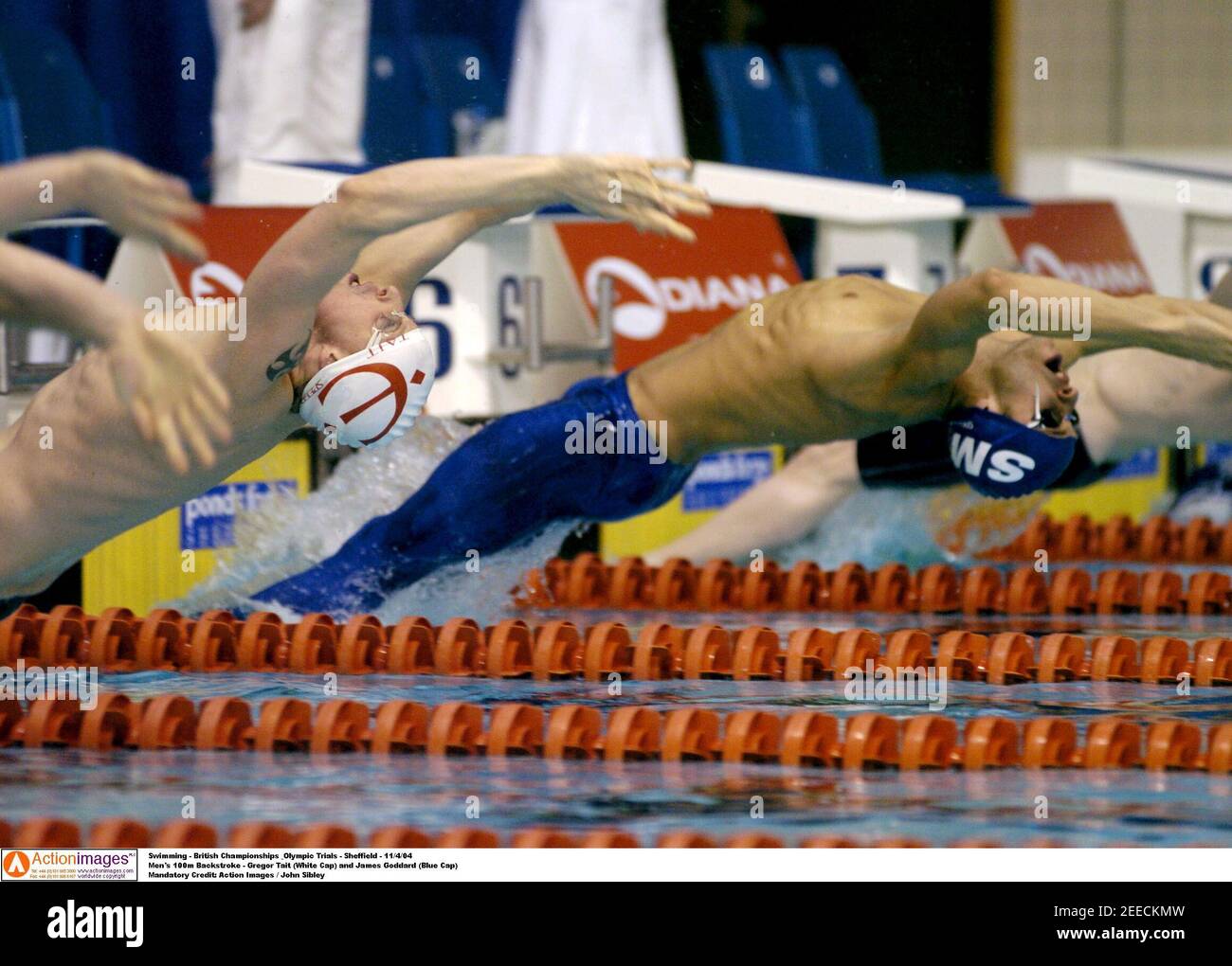 Swimming - British Championships & Olympic Trials - Sheffield - 11/4/04  Men's 100m Backstroke - Gregor Tait (White Cap) and James Goddard (Blue Cap)  Mandatory Credit: Action Images / John Sibley Stock Photo
