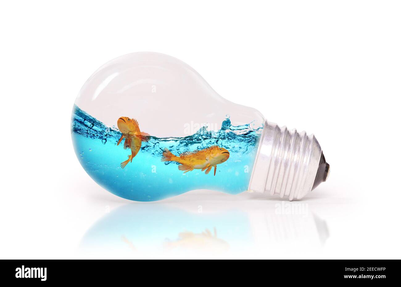 Lightbulb with water and fish inside, isolated on white Stock Photo - Alamy