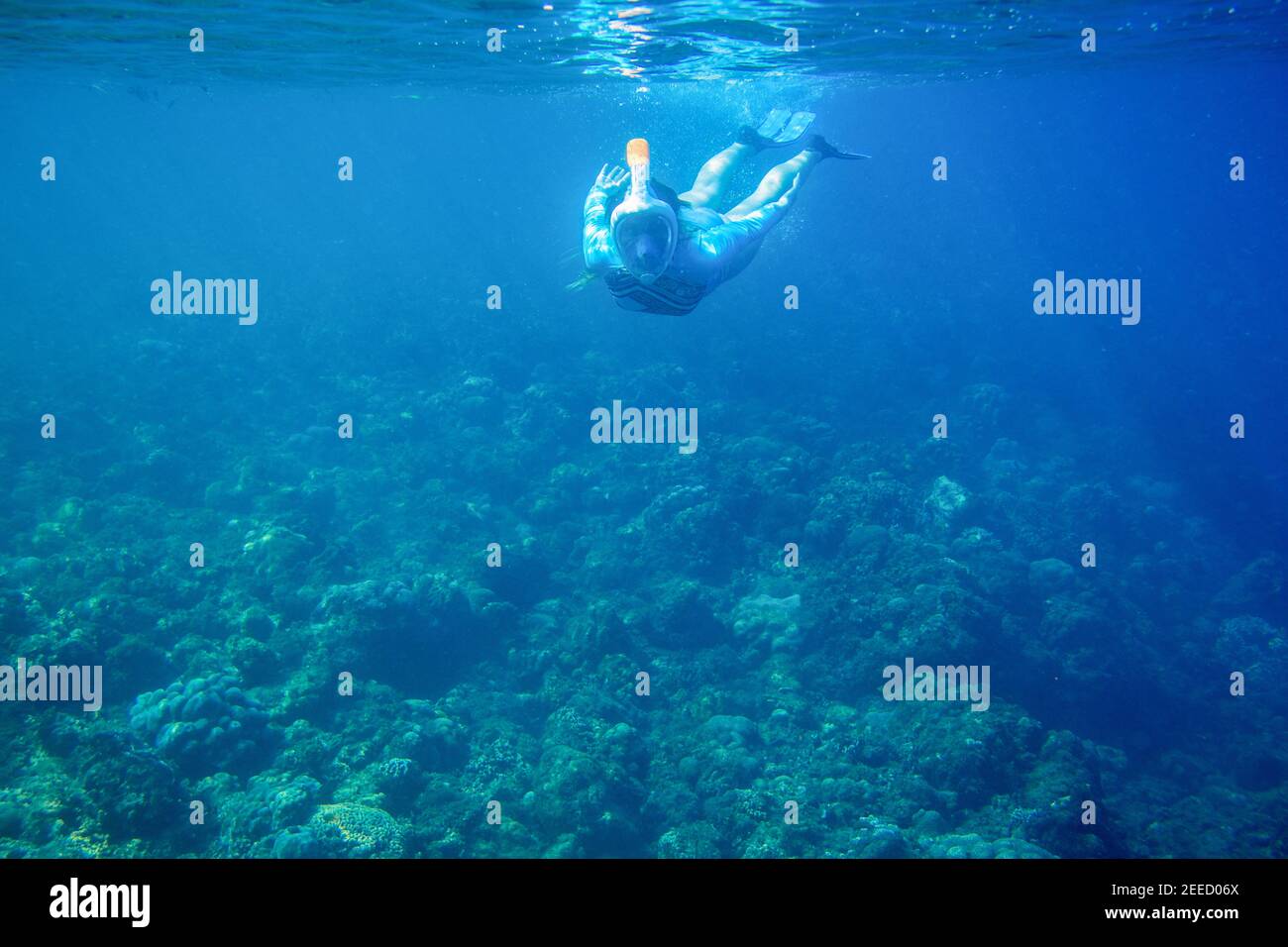 Woman dives in coral reef. Girl snorkeling in full-face mask. Snorkel person underwater photo. Snorkeling mask undersea. Freediver in blue seawater of Stock Photo