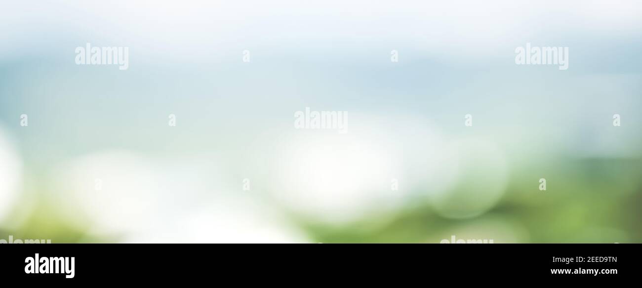 Abstract simple clean natural blur white green bokeh background with light blue shade in the middle - horizontal panoramic web banner Stock Photo