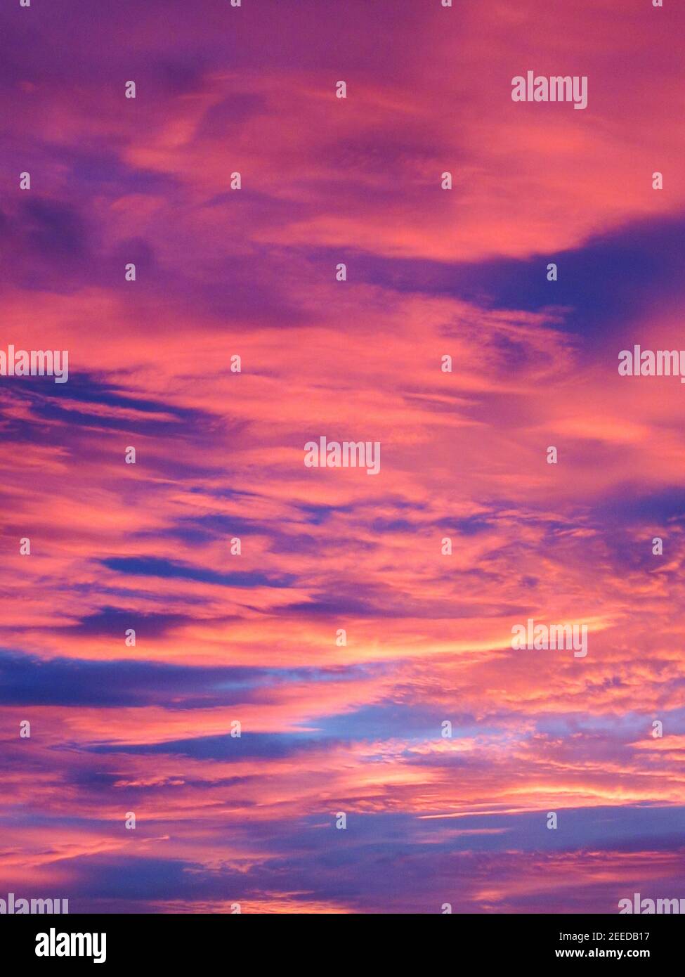 Sunset sky with pink clouds, Kent Stock Photo