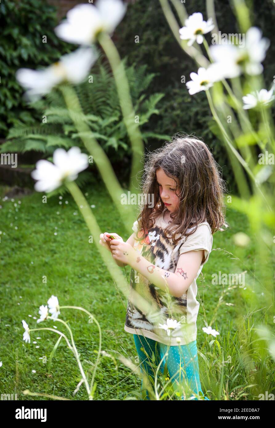 Little girl learning through nature play, Kent Stock Photo