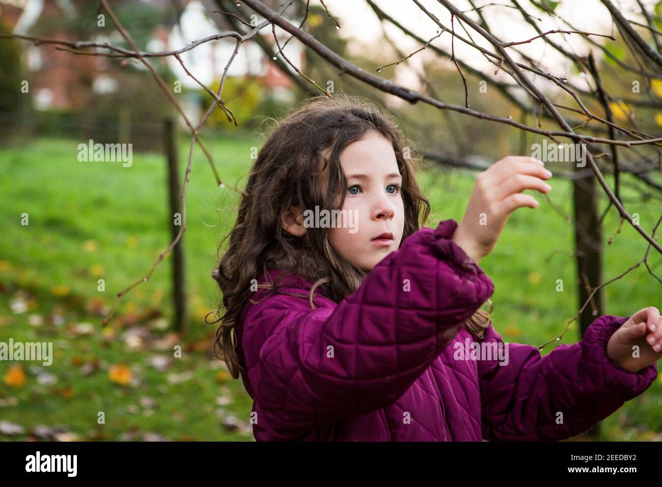 Little girl learning whilst playing in nature, Kent Stock Photo