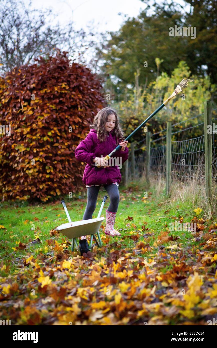 Little girl raking leaves on an autumn day, Kent Stock Photo