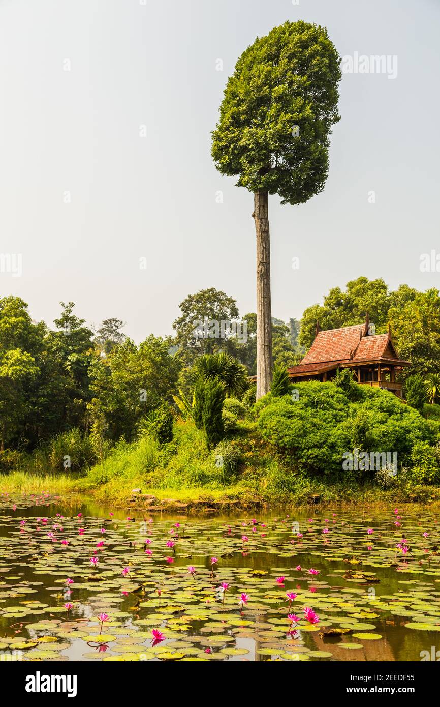 Thai house style, Teakwood home in garden, Thailand,Asia Stock Photo
