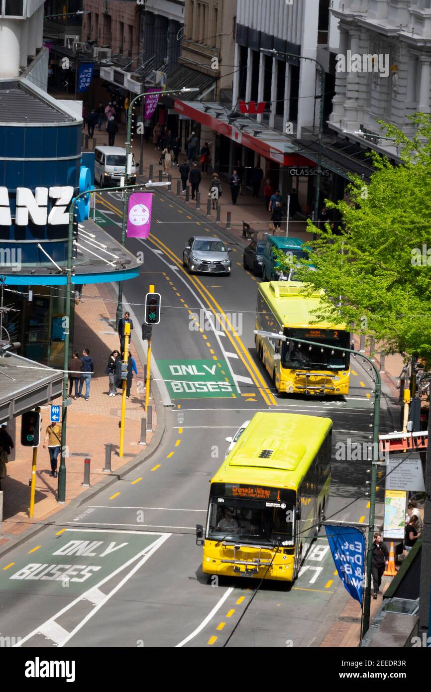 Buses in Lambton Quay, the main shopping street in Wellington, North Island, New Zealand Stock Photo