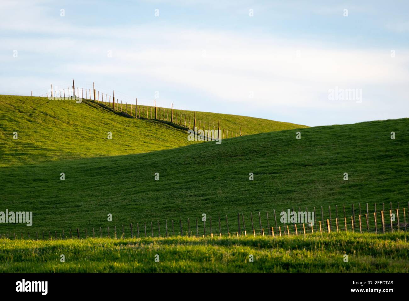 Farmland on hills near Ohakuni, North Island, New Zealand Stock Photo