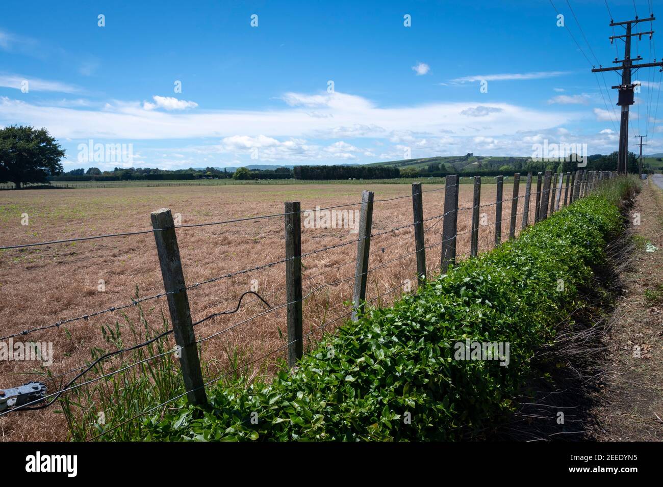 Post and wire fence, Carterton, Wairarapa, North Island, New Zealand Stock Photo Alamy