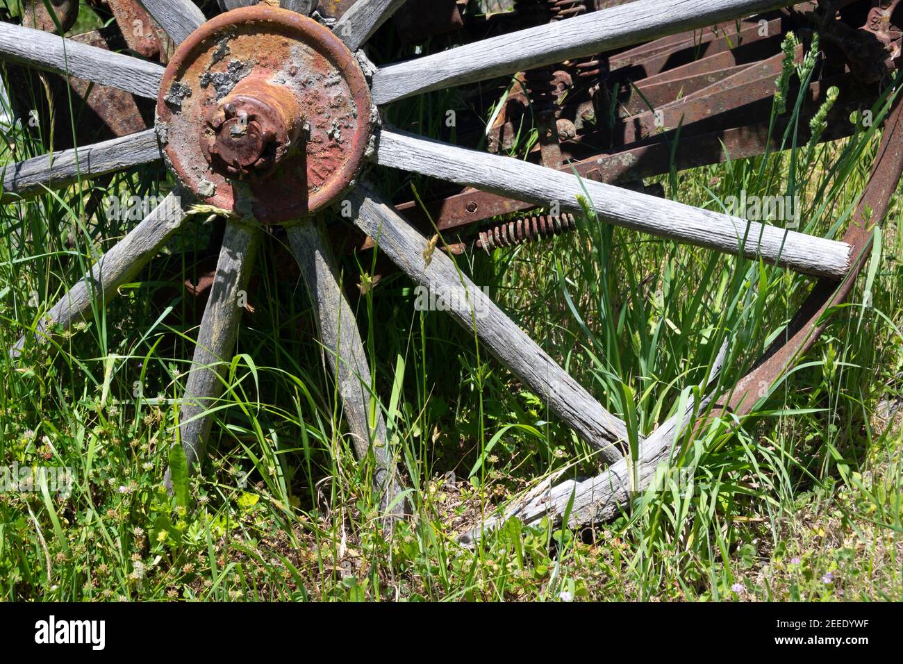 Remains of old horsedrawn faming machinery, Gladstone, Wairarapa, North Island, New Zealand Stock Photo