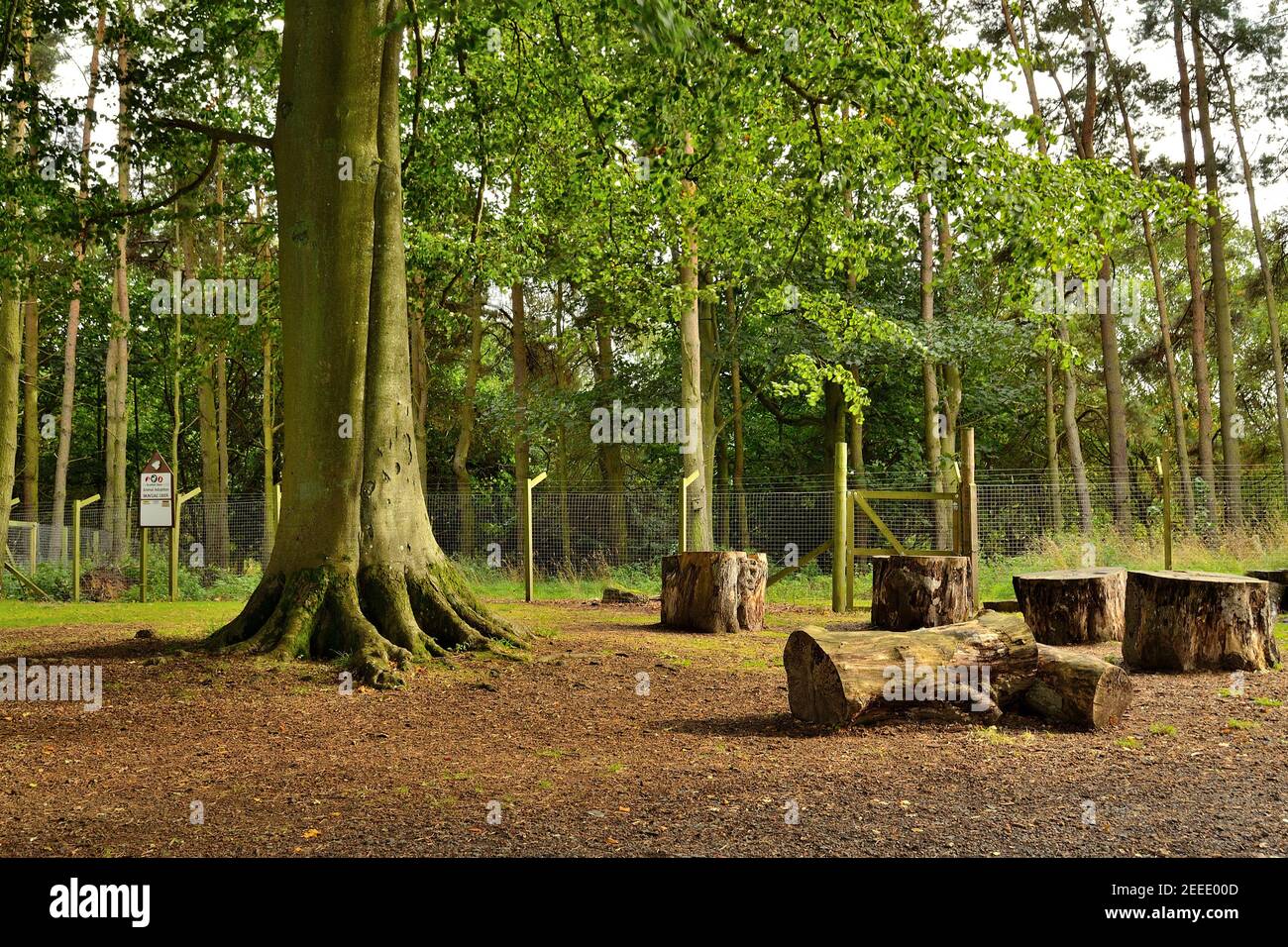 Scottish Deer Centre Stock Photo Alamy