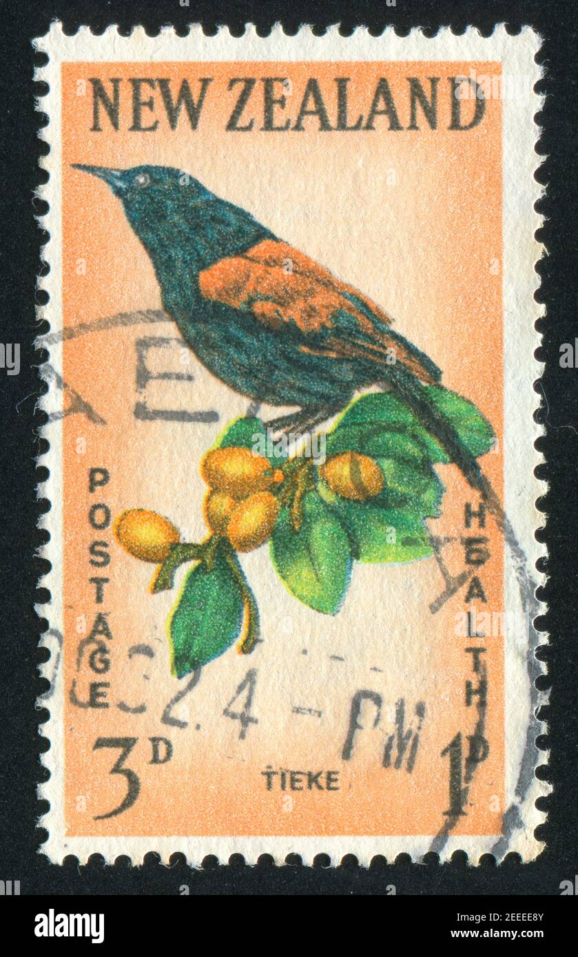 NEW ZEALAND — CIRCA 1959: stamp printed by New Zealand, shows  saddleback tieke, circa 1959 Stock Photo