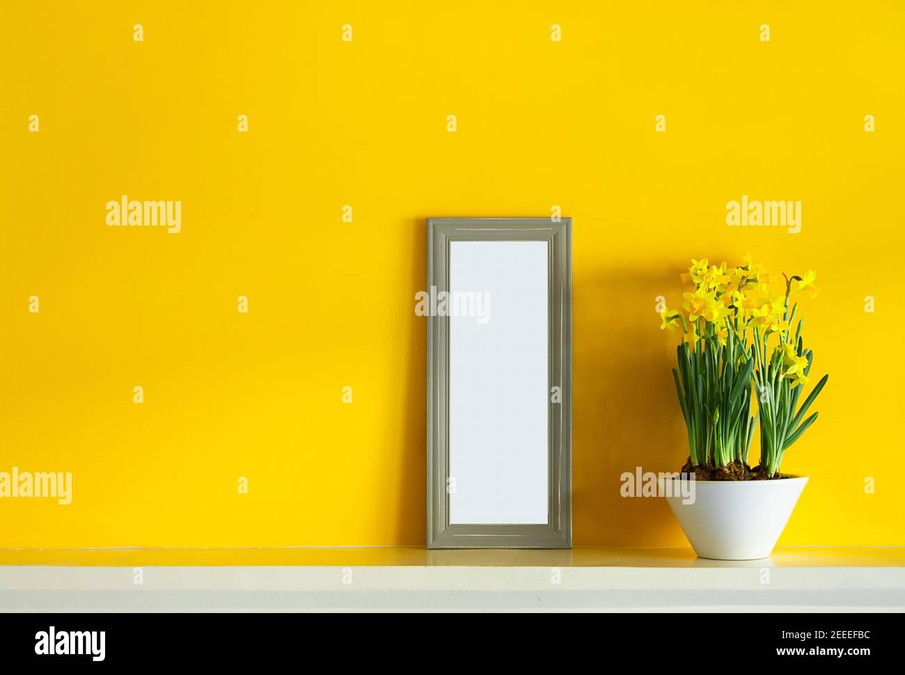 A white ceramic pot with blooming yellow daffodils and a gray photoframe on a yellow background with copy space Stock Photo