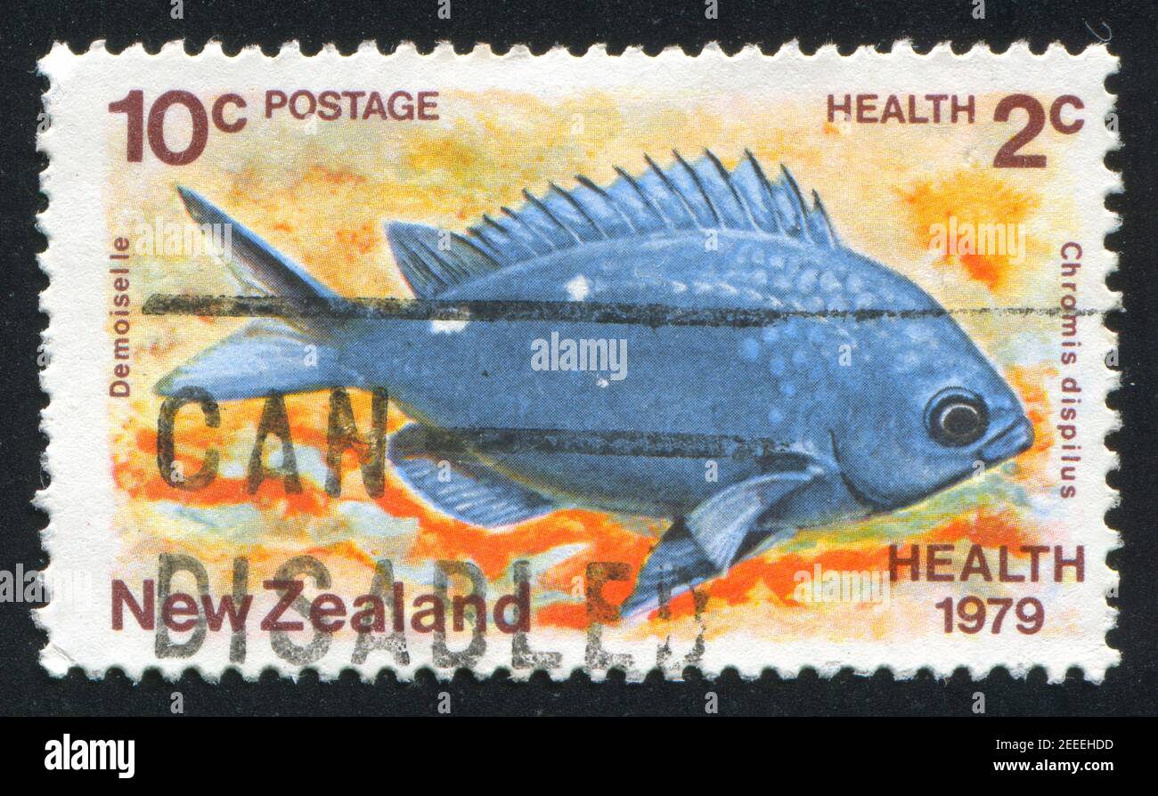 NEW ZEALAND — CIRCA 1978: stamp printed by New Zealand, shows  fish chromis dispilus, circa 1978 Stock Photo