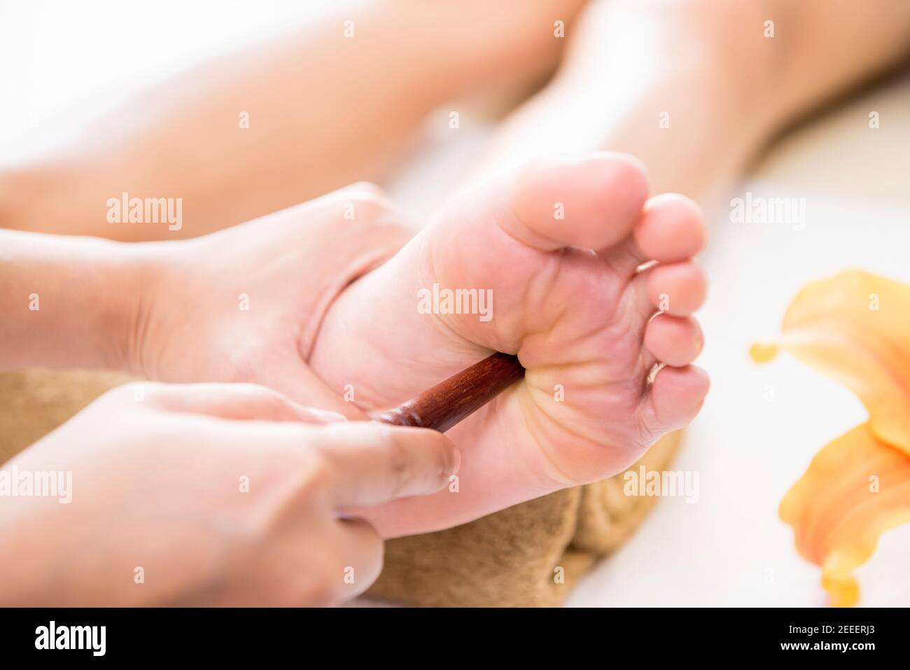 Professional therapist giving relaxing traditional thai reflexology foot massage with stick to a woman in spa Stock Photo