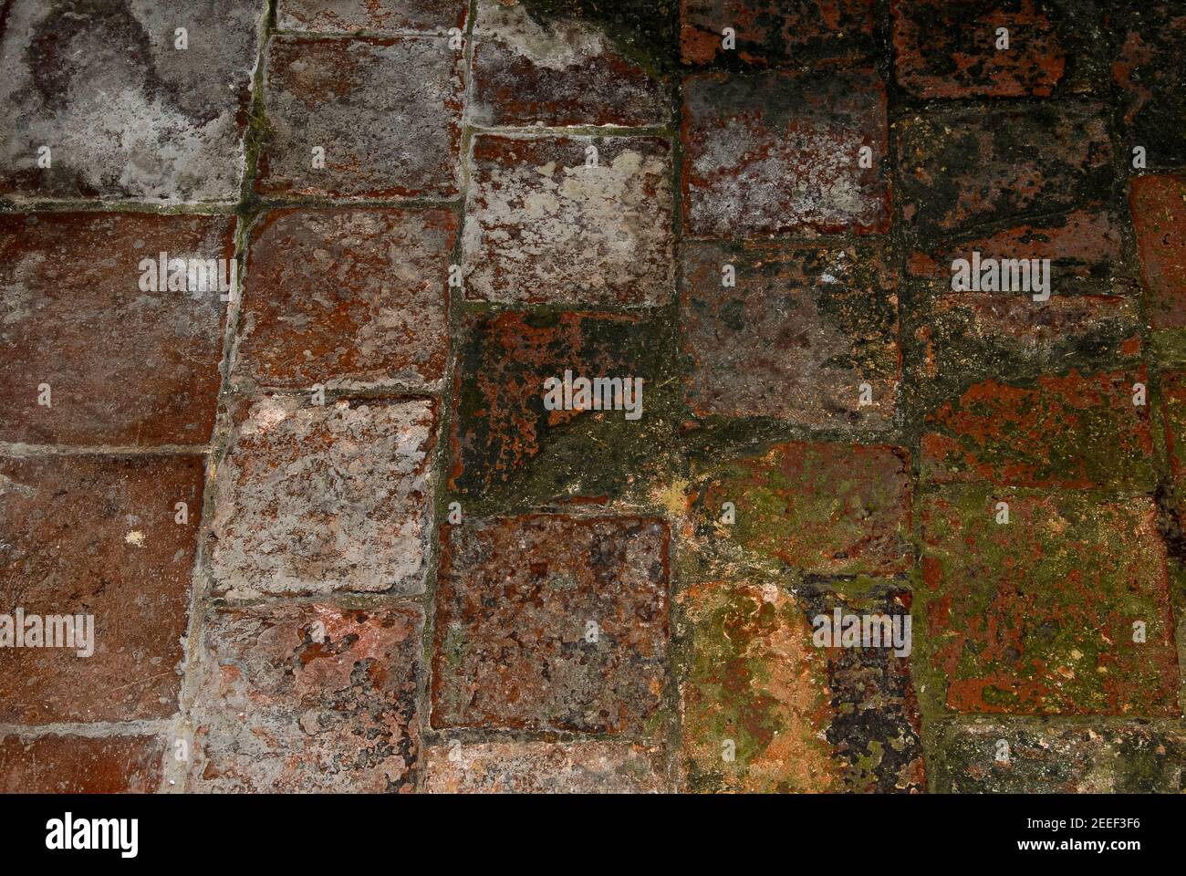 The effects of damp are all too obvious on the worn and damaged surfaces of these medieval encaustic tiles in the pavement of the mid-13th century Parish Church of Saint Augustine at Brookland, Kent, England, UK.  Although the church was built around 1250 on an artificial mound, the site stands in low-lying Walland Marsh, part of Romney Marsh with its dykes, ditches and fields often flooded in winter. Over the centuries, parts of the church have suffered from damp and subsidence, with walls leaning well out of true. Stock Photo