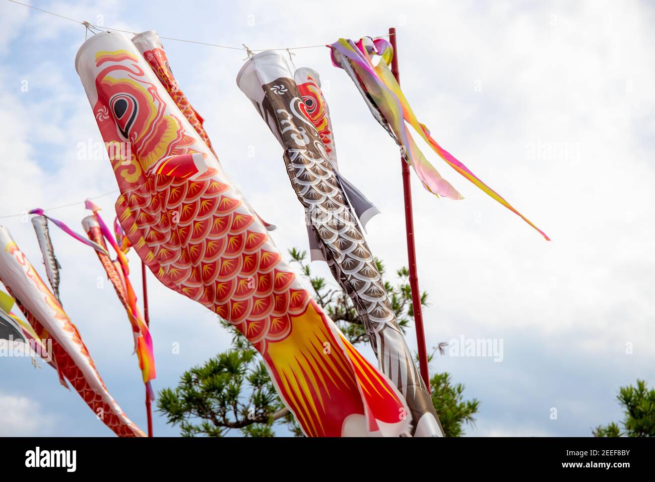 Japanese fish kite on sky background. Koi or koinobori kite in air