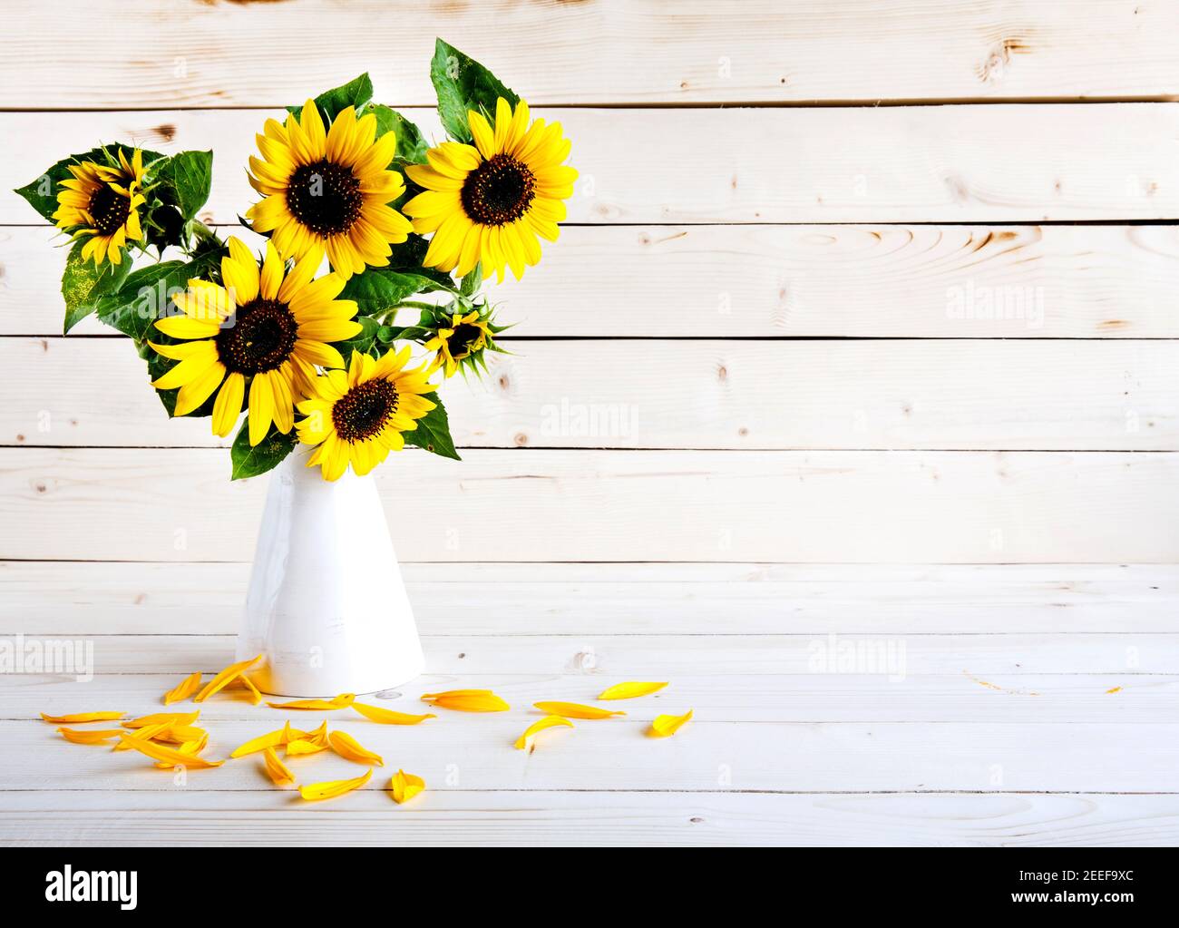 A bouquet of autumn sunflowers in a vase on a grungy wooden table. and ...