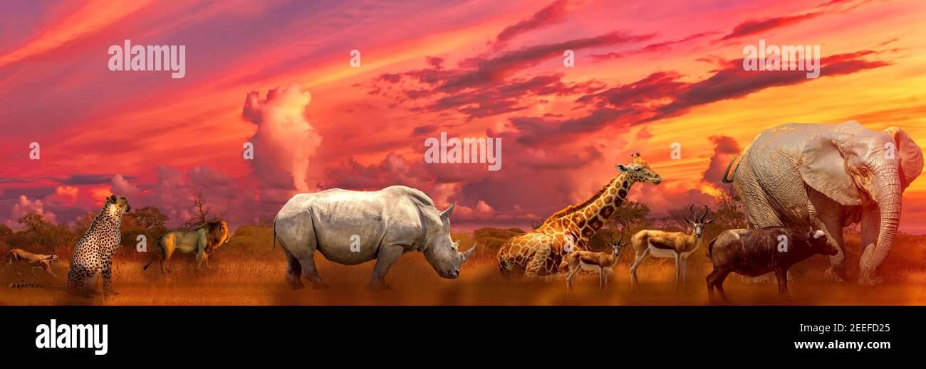 Banner panorama of Big Five and wild animals collage with african landscape at sunrise in Serengeti wildlife area, Tanzania, East Africa. Africa Stock Photo