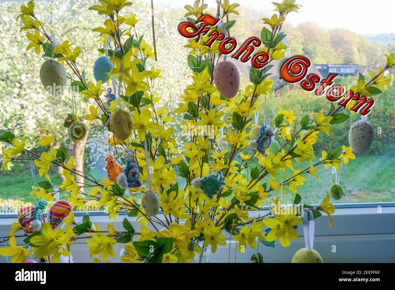 Colored Easter eggs standing on a forsythia bush in a vase in front of a window. Blur background Stock Photo