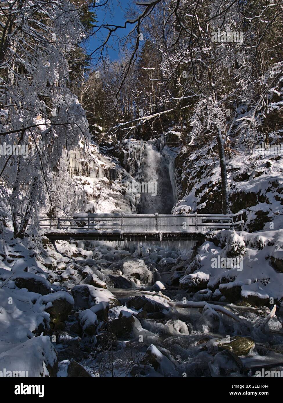 Stunning winter landscape with upper part of water cascades Todtnauer Wasserfälle in winter season with snow-covered forest and frozen bridge. Stock Photo