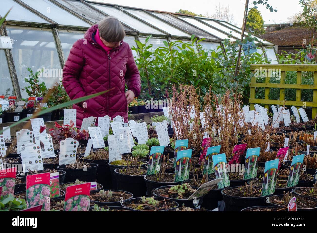 Woman at garden centre hi-res stock photography and images - Alamy