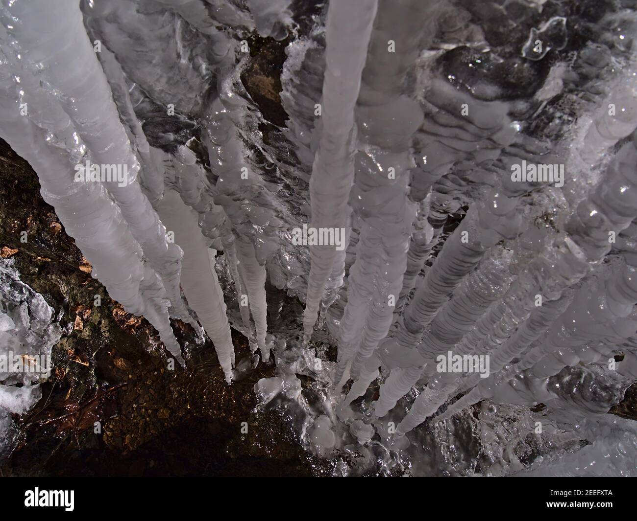 High angle view of icicles with bizarre looking pattern hanging down a rocky slope in winter season in Black Forest near Todtnau, Germany. Stock Photo