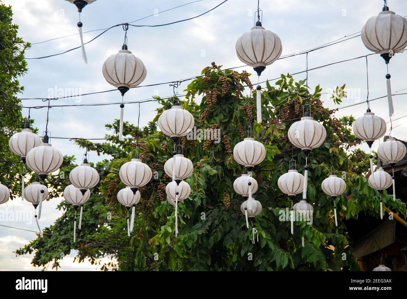 Outdoor 2024 chinese lanterns