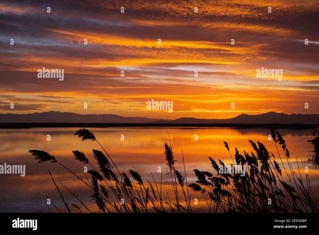 The sunset afterglow lights up the clouds and water at Farmington Bay Waterfowl Management Area, Farmington, Davis County, Utah, USA. Stock Photo