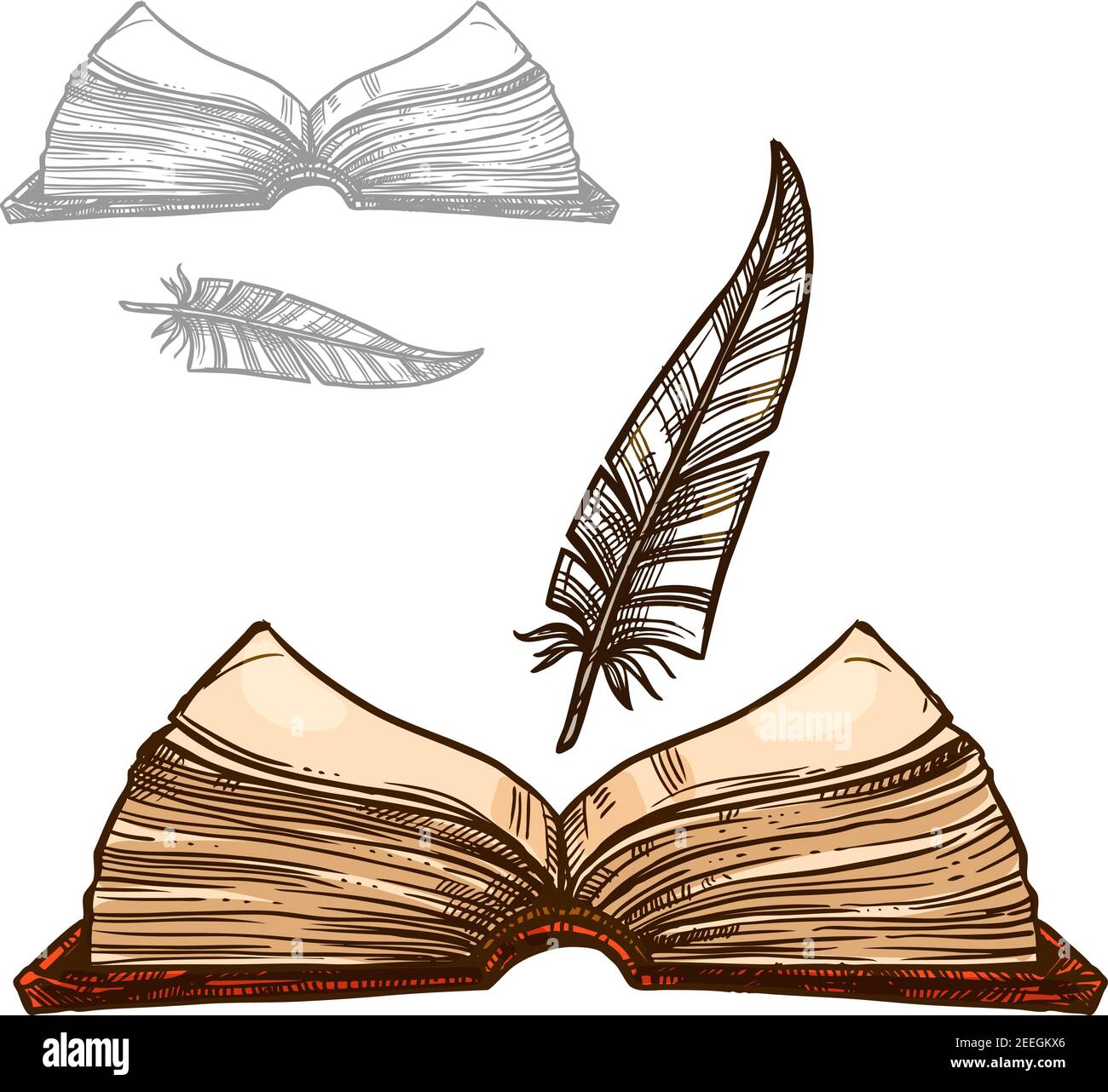 Vector open book quill hi-res stock photography and images - Alamy