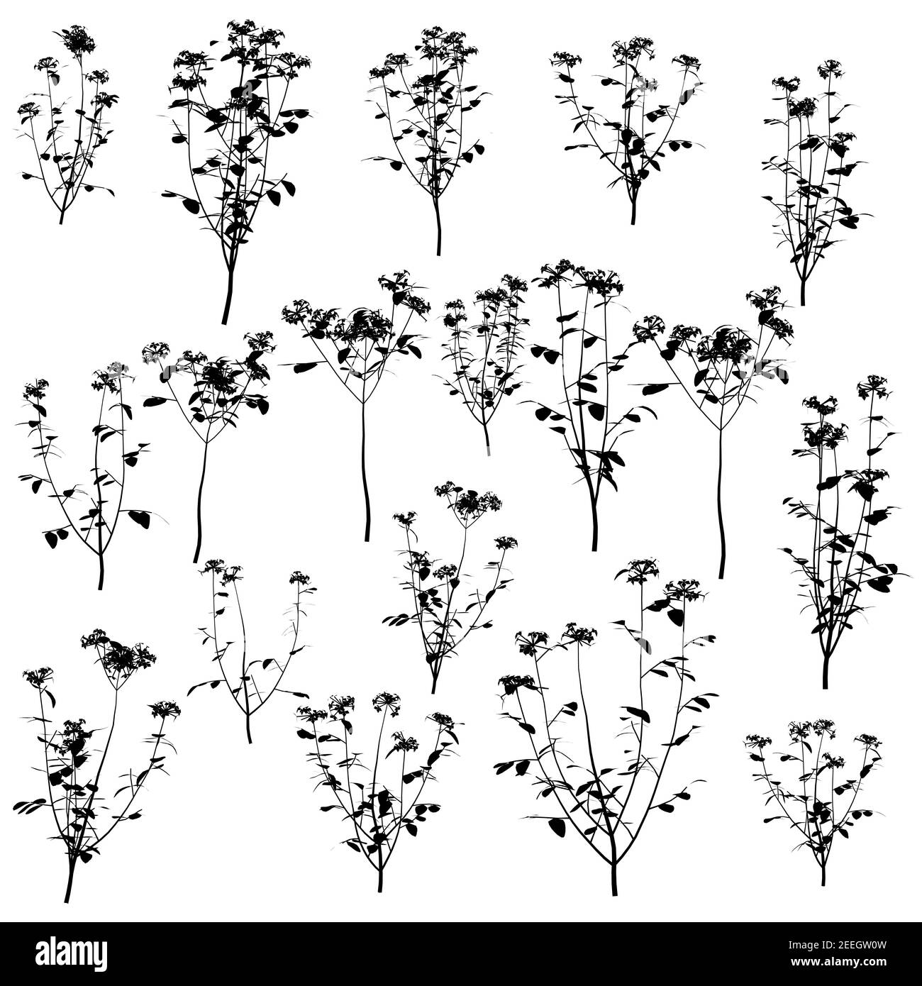Set with silhouettes of detailed plants isolated on white background. Vector illustration. Stock Vector
