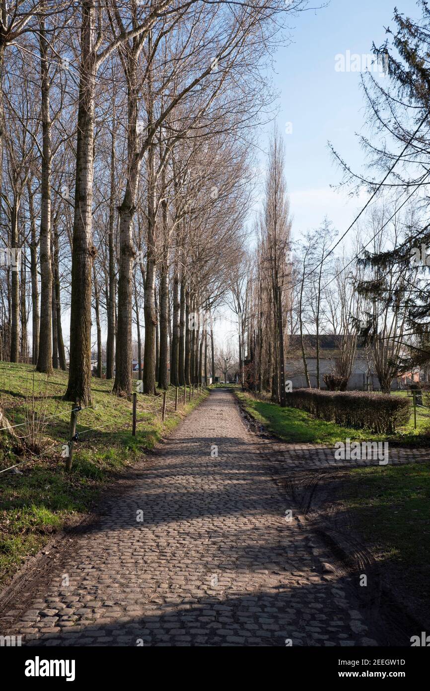 Old country road built with cobblestones in the polders Stock Photo