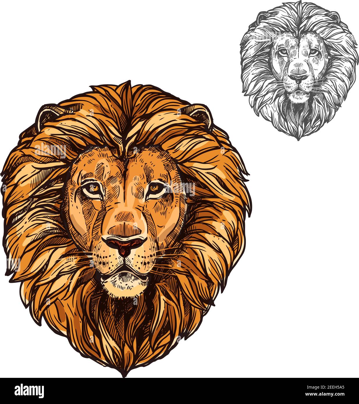 Lion African wild animal head or muzzle sketch. Vector isolated icon of panther leo species cat for zoology, mascot blazon of sport team, wildlife sav Stock Vector