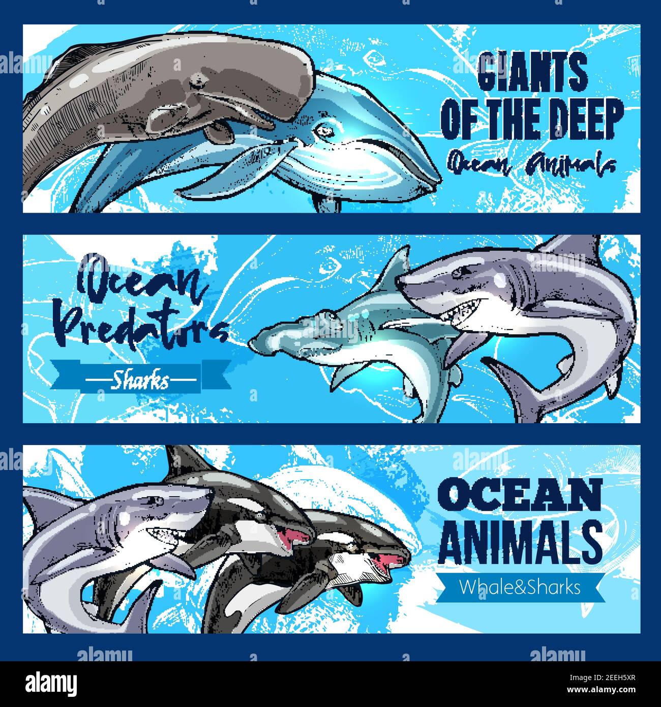Ocean giant predatory animals banners set. Vector design of sperm whale cachalot, killer whale or orca and hammerhead or white shark and toothed preda Stock Vector