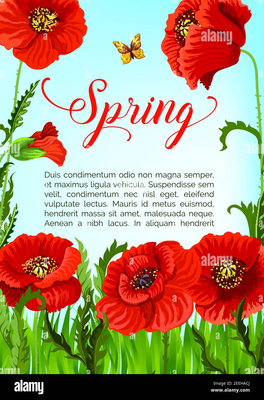 Flower & Garden Greeting Cards Poppies Sunflowers Cherry Blossom Viola