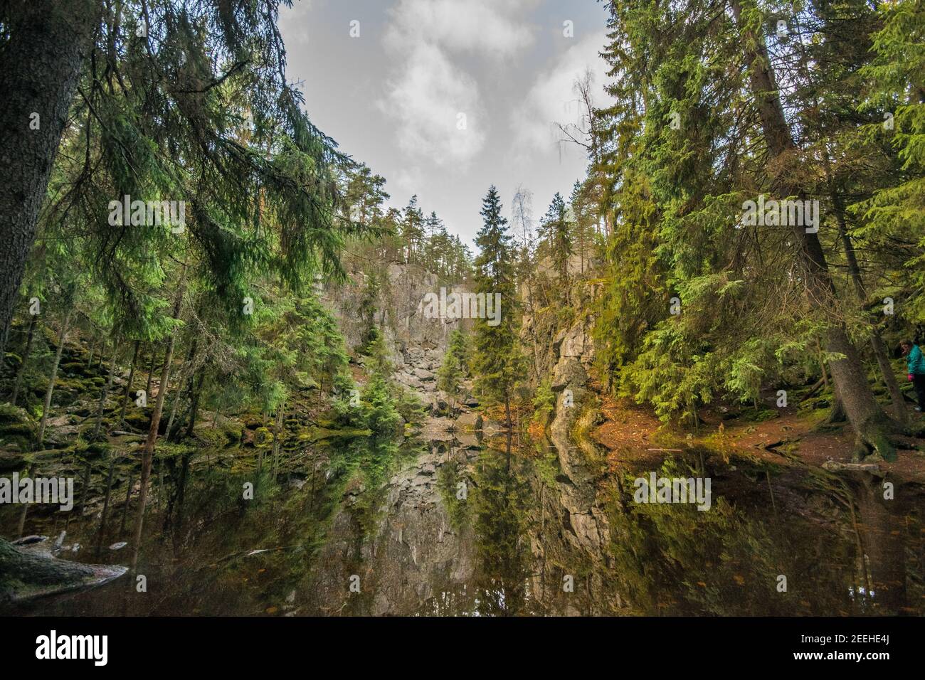 River in a forest under cloudy sky Stock Photo - Alamy