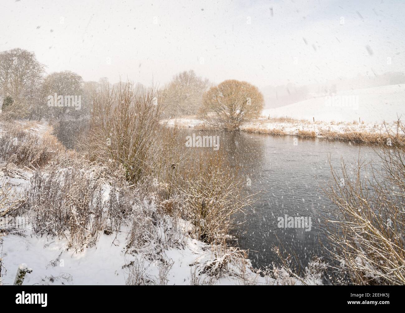 Falling snow over the Teviot River in the Scottish Borders, UK Stock Photo