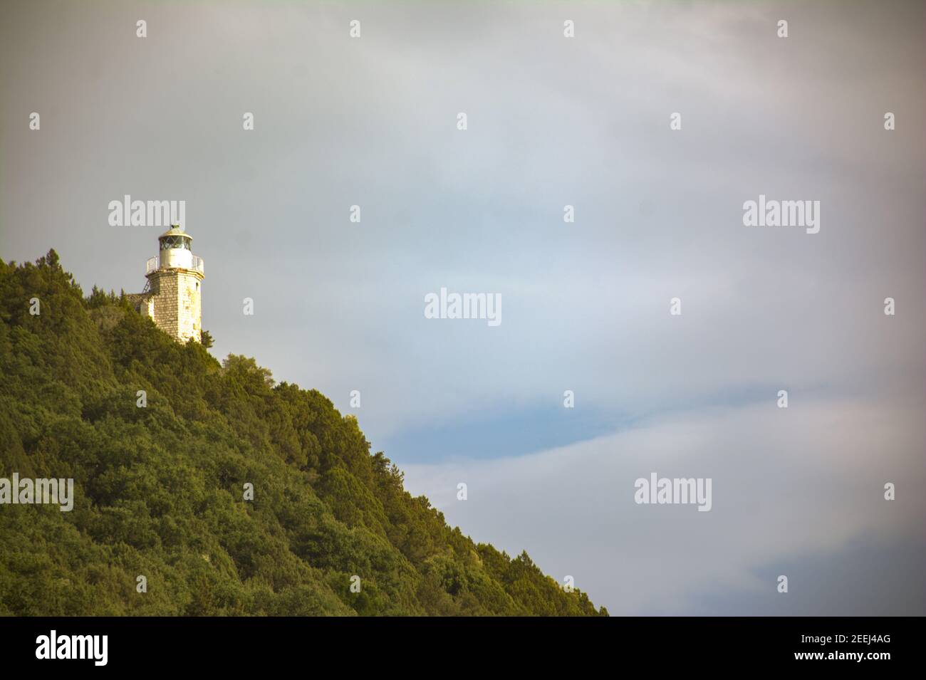 Low angle shot of a lighthouse in a forest on the hill Stock Photo - Alamy