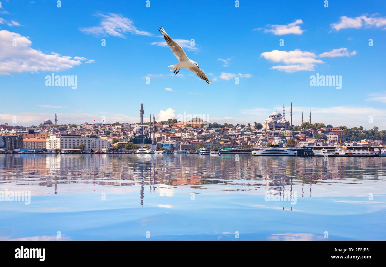 Seagull flies by the Suleymaniye Mosque in the Bosphorus Straight, Istanbul Stock Photo
