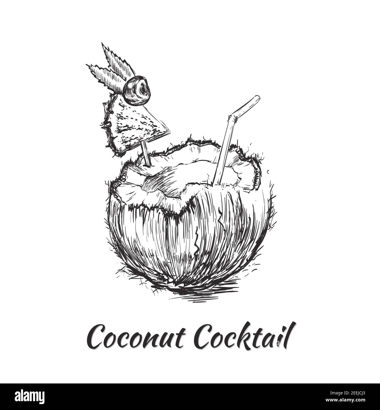 Coconut Cocktail Drink. Hand Drawn Vector Illustration Stock Vector