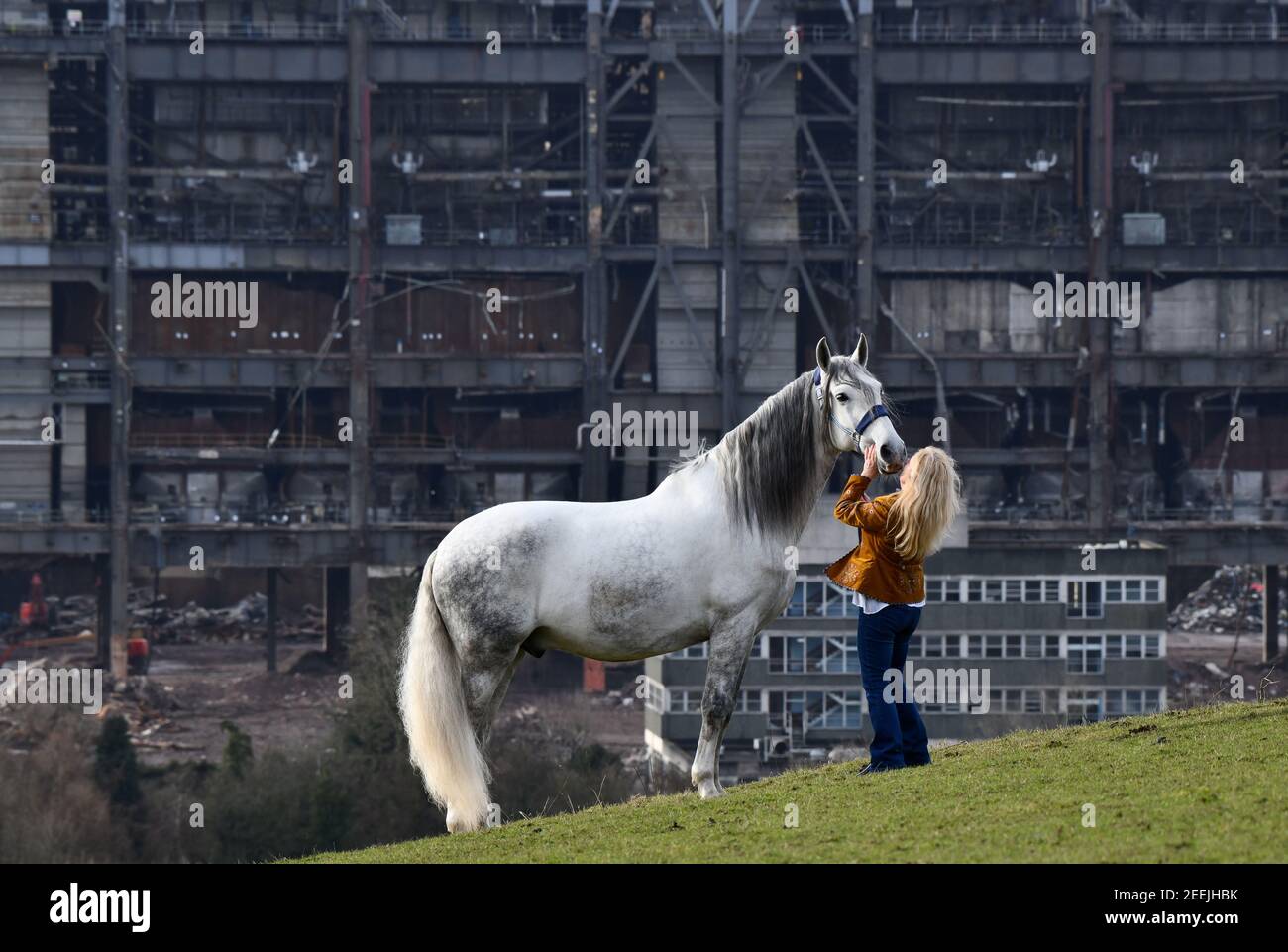 Team russia petlove horse