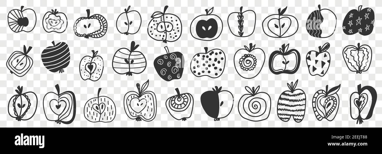 Apple fruits with patterns doodle set. Collection of hand drawn apple