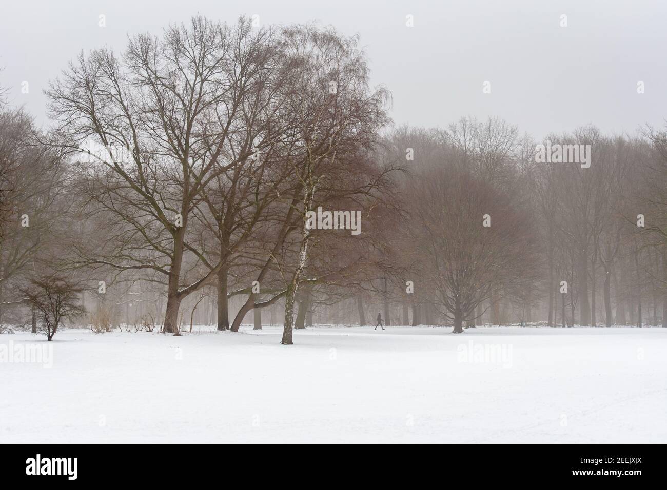 Berlin, Germany. 16th Feb, 2021. Germany, Berlin, February 16, 2021 A small silhouette of a