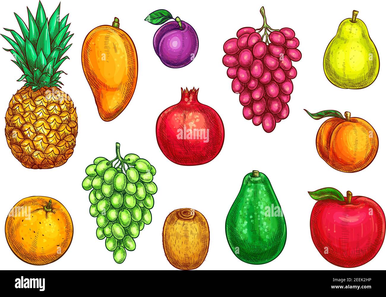 Fruits icons apple, apricot or pear and peach, tropical avocado or mango and exotic pineapple, garnet or pomegranate and kiwi, orange or tangerine cit Stock Vector