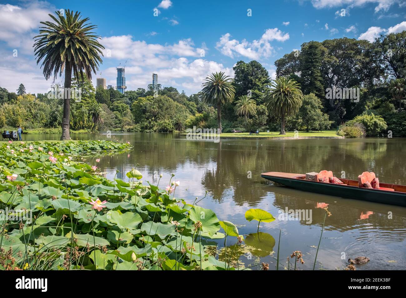 A view across the lake of the Royal Botanic Gardens, with the towers of the Melbourne in the background Stock Photo