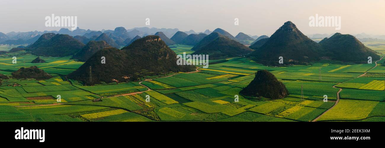 Beautiful yellow canola fields and round hills in Luoping, Yunnan, China Stock Photo