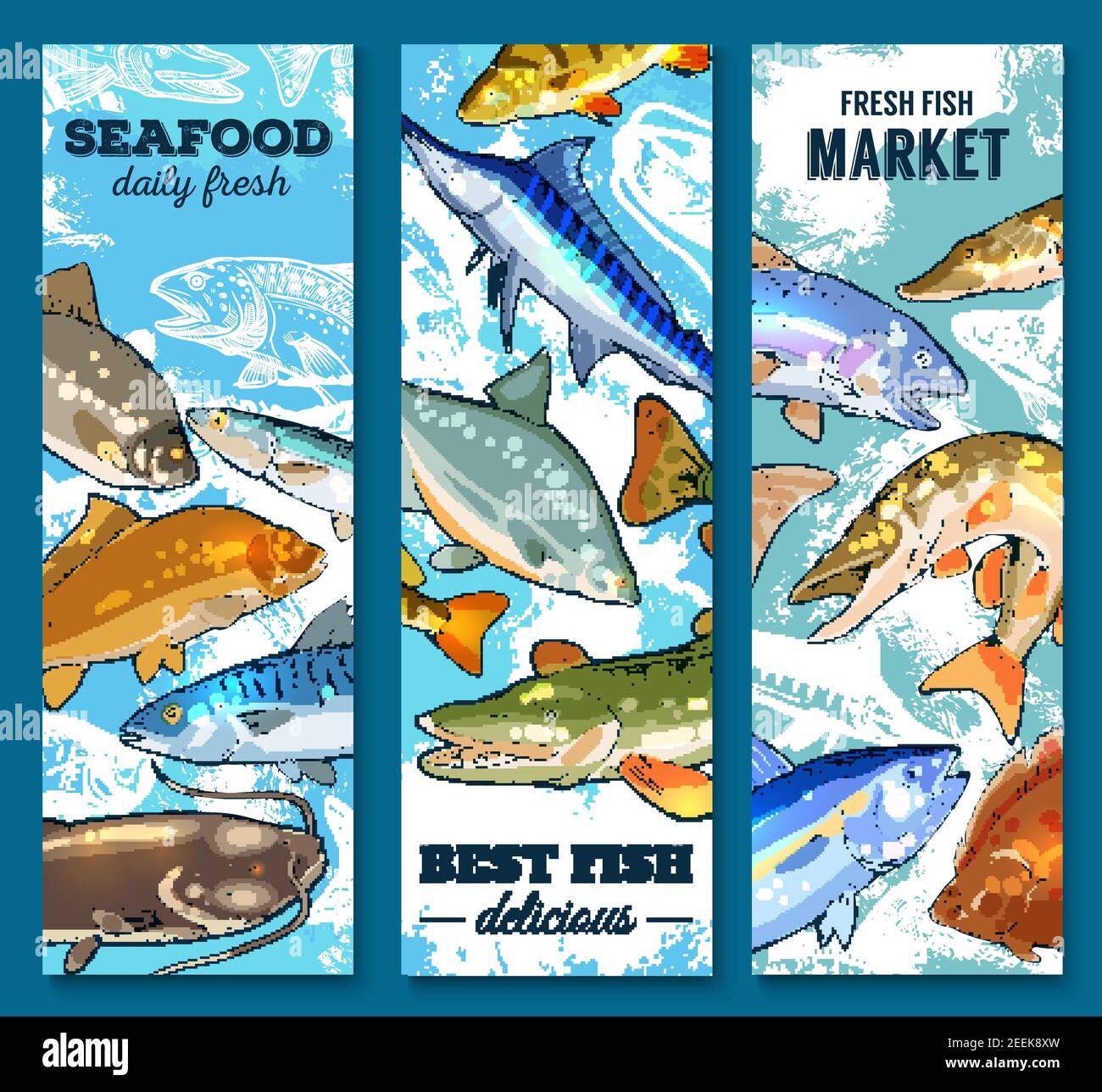 Fresh seafood and fish market banner set. Salmon, tuna, blue marlin