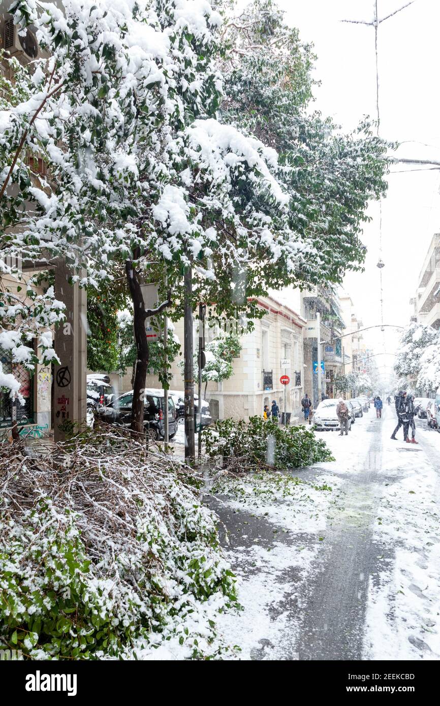 Trees fallen down during a snow storm in Charilaou Trikoupi street, in downtown Athens city, capital of Greece, Europe Stock Photo