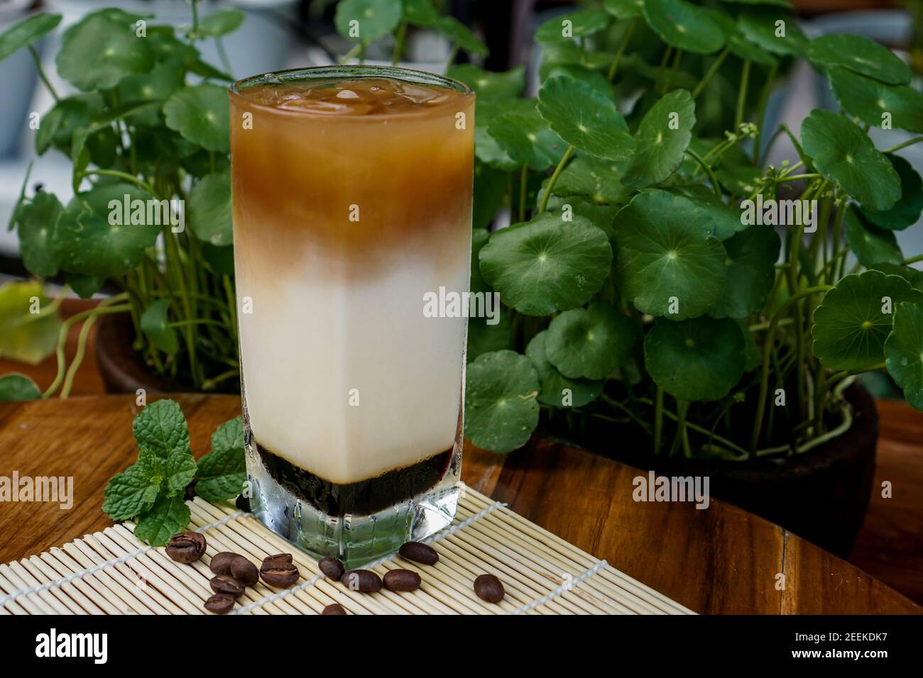 vietnamese iced coffee milk, Iced coffee is a type of coffee beverage