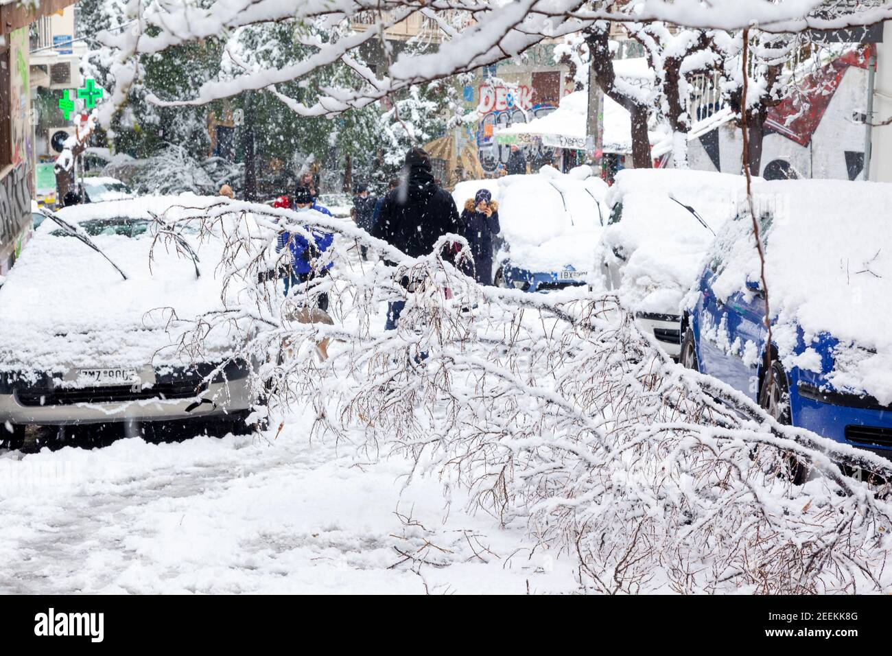 Snow storm causes trees to fall down and block streets in Athens city , capital of Greece, Europe Stock Photo