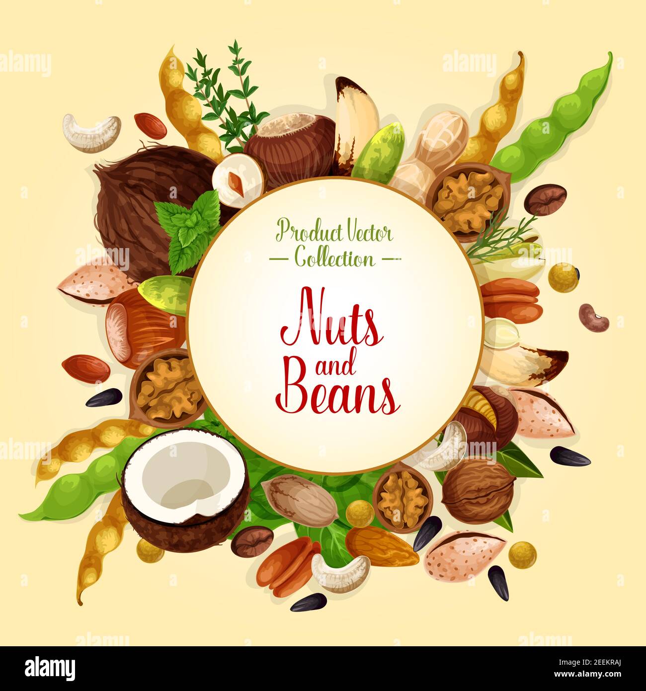 Dried pine fruits Stock Vector Images Alamy